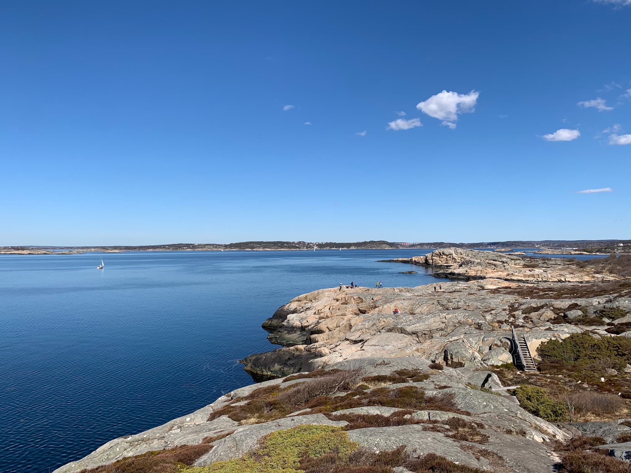 Wellness & Biohacking